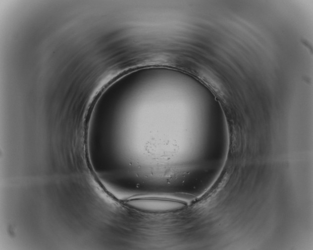 X0000096460800200801311511
