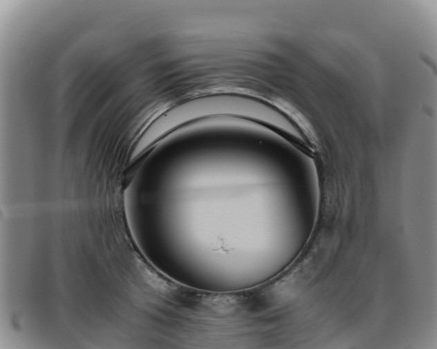X0000096460801200801311511