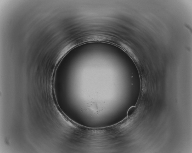 X0000096460802200801311511