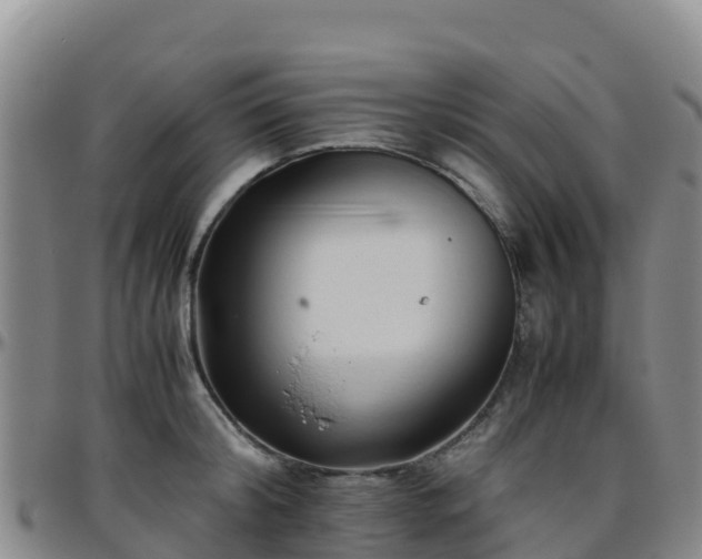 X0000096460804200801311511