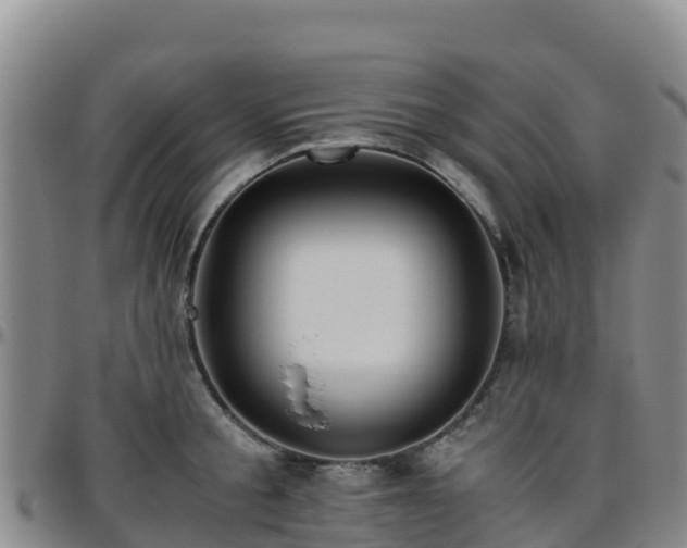 X0000096460805200801311511