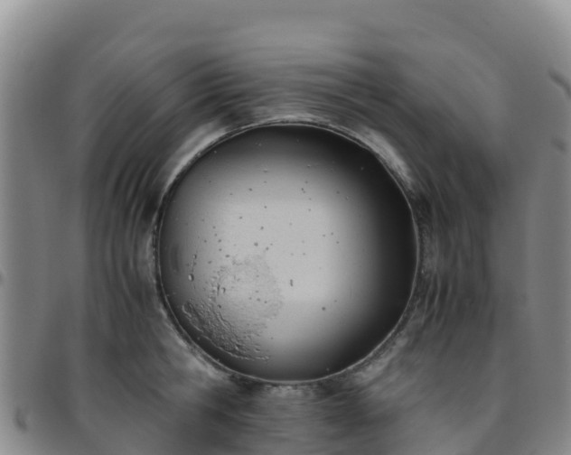 X0000096460806200801311511