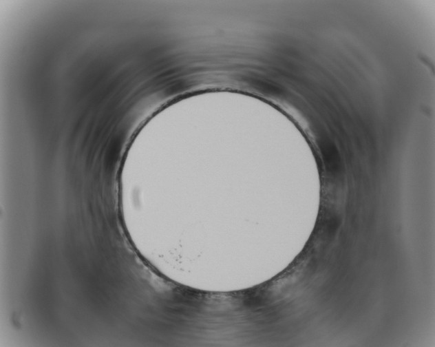 X0000096460807200801311511