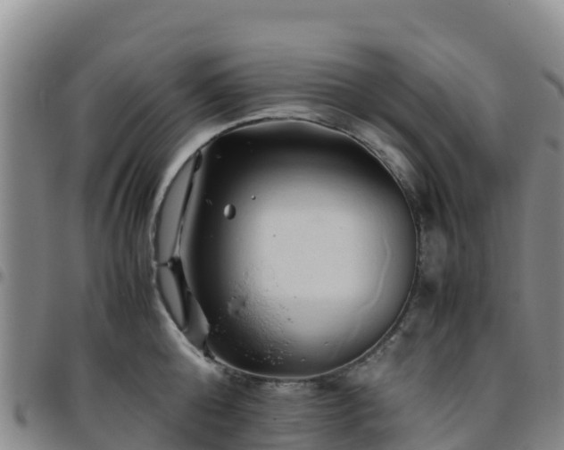 X0000096460808200801311511
