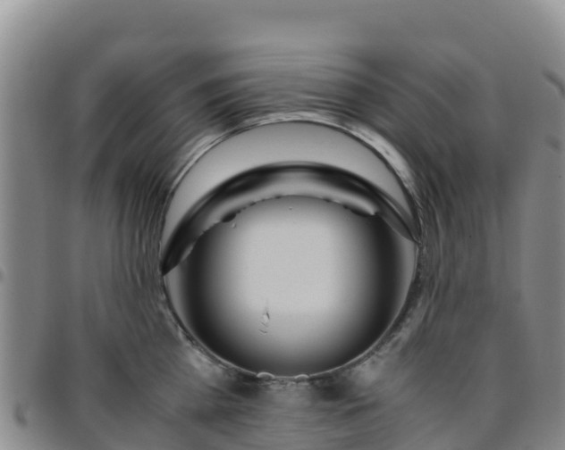 X0000096460809200801311511