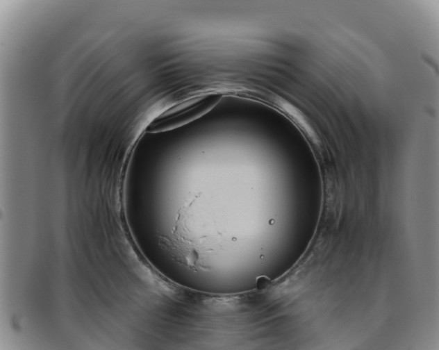 X0000096460810200801311511