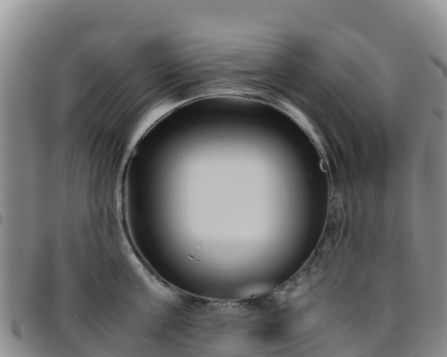X0000096460811200801311511