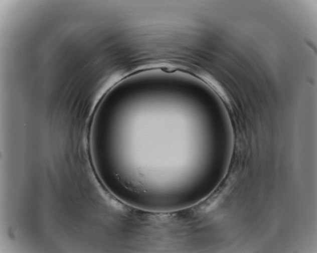X0000096460813200801311511