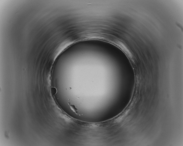 X0000096460814200801311511