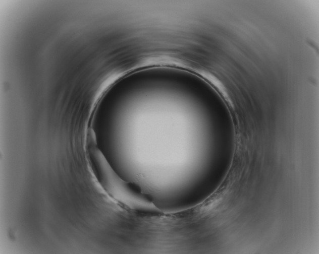 X0000096460815200801311511