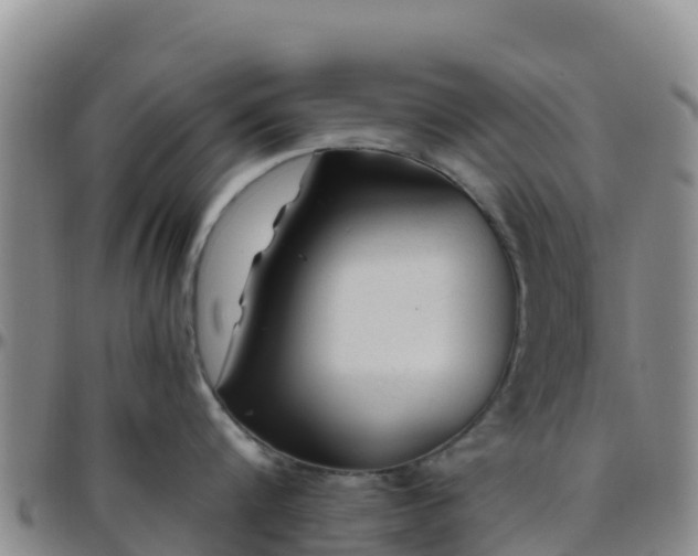 X0000096460816200801311511
