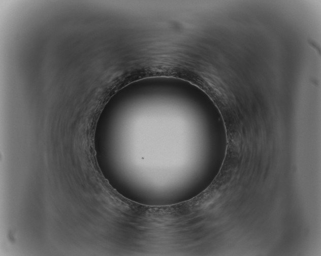 X0000096460817200801311510