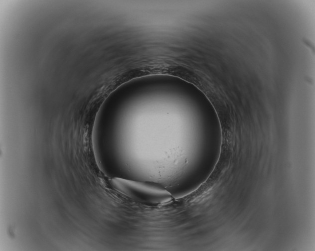X0000096460818200801311510