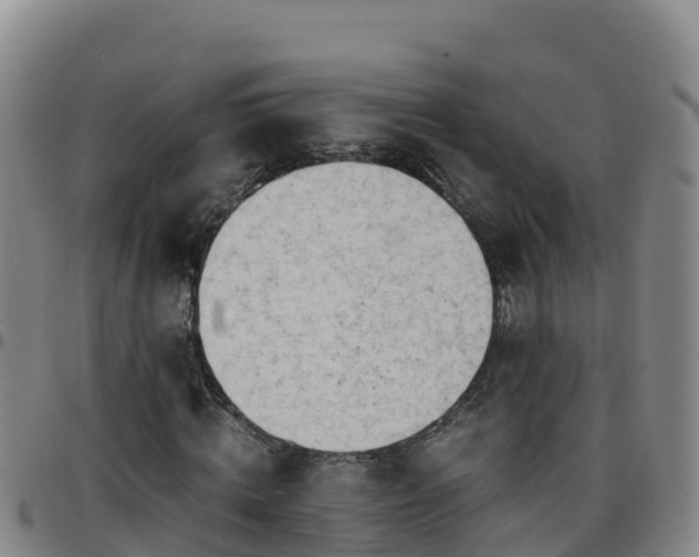 X0000096460820200801311510