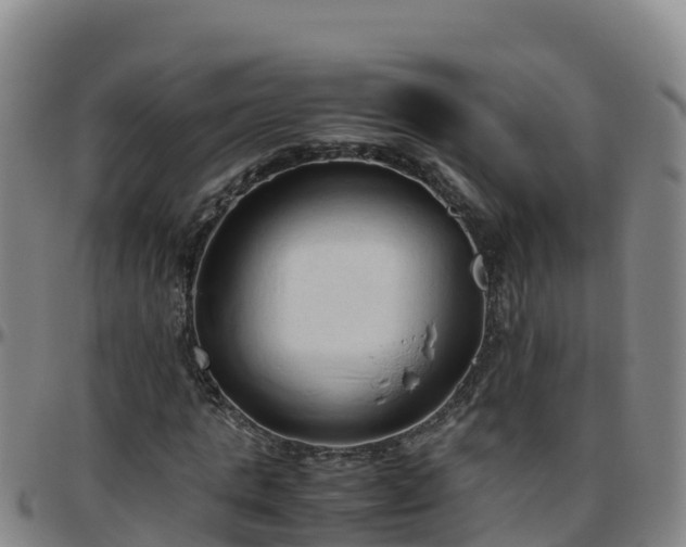 X0000096460821200801311510