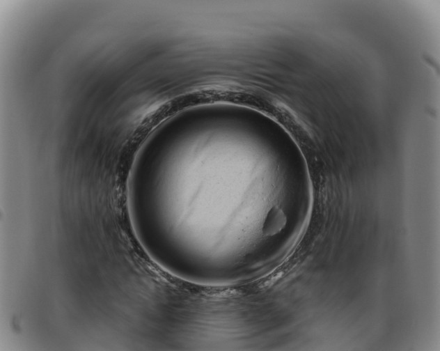 X0000096460822200801311510