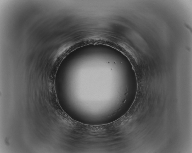 X0000096460823200801311510