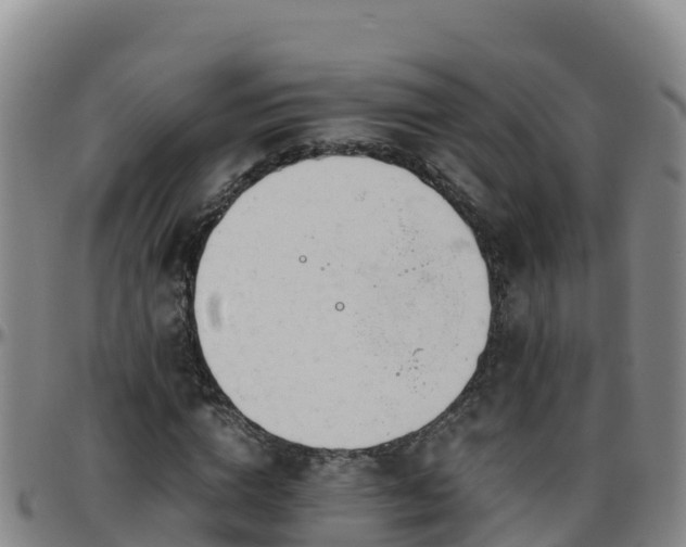 X0000096460824200801311510