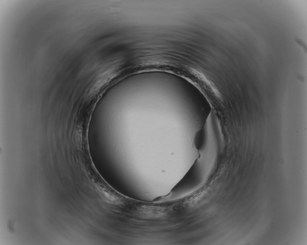 X0000096460825200801311510