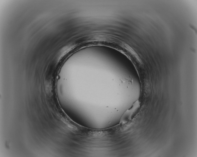 X0000096460826200801311510