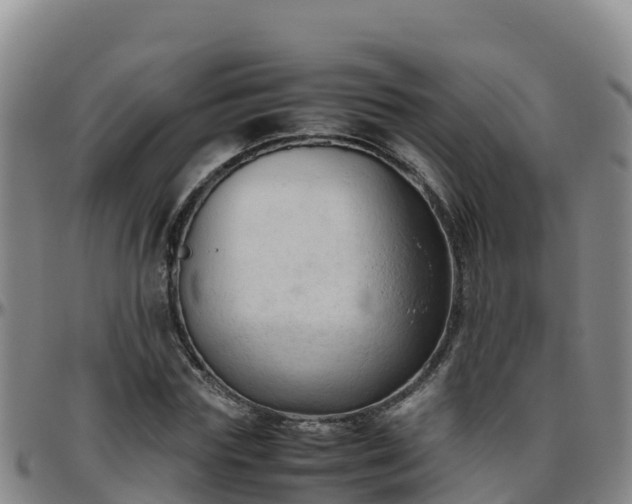 X0000096460827200801311510