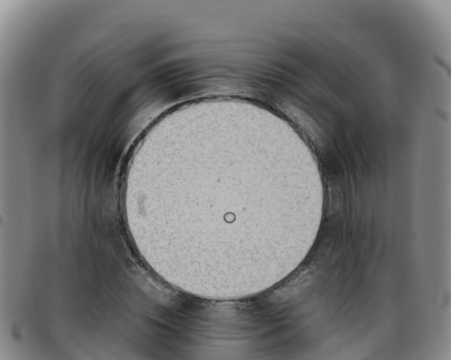 X0000096460828200801311510