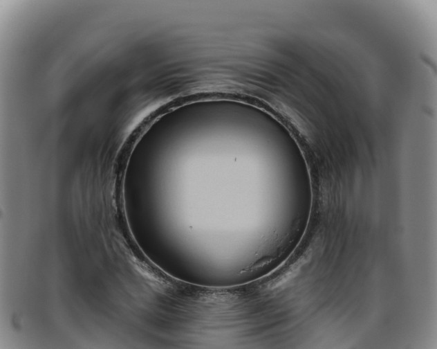 X0000096460830200801311510