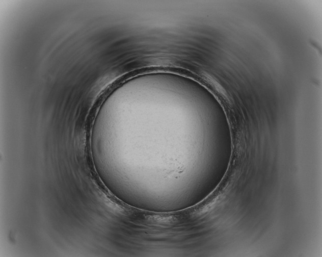 X0000096460831200801311510