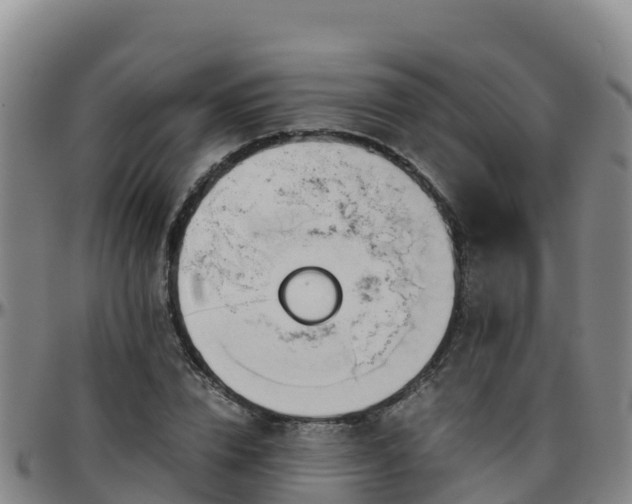X0000096460832200801311510