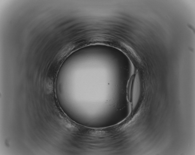 X0000096460833200801311510