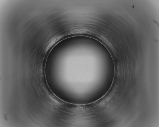 X0000096460834200801311510