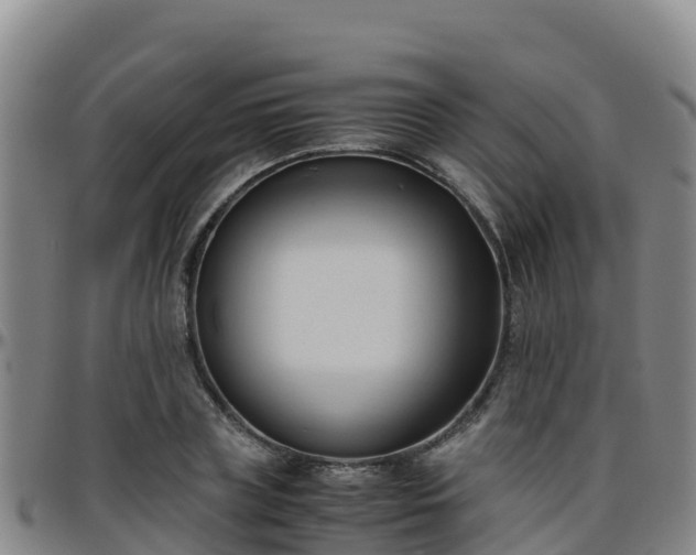 X0000096460835200801311510