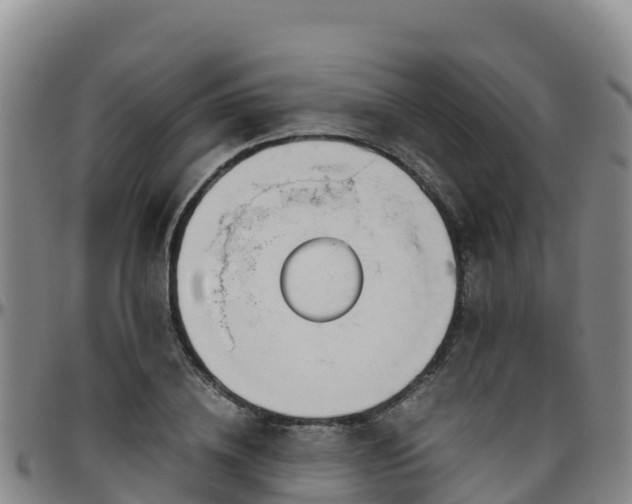 X0000096460836200801311510