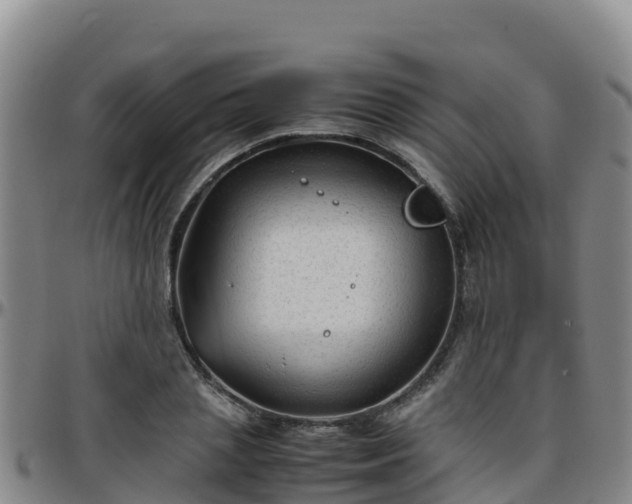 X0000096460837200801311510