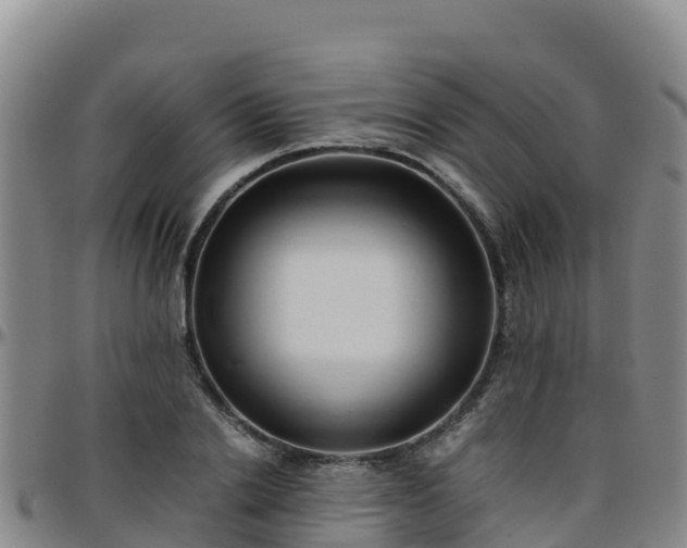 X0000096460838200801311510
