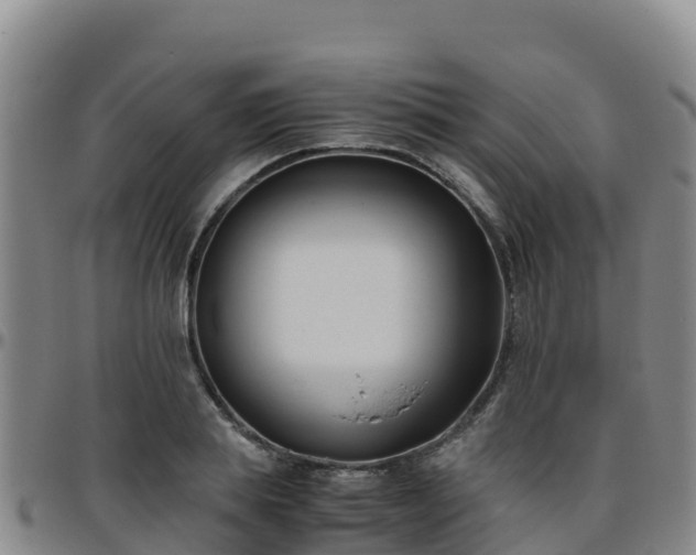 X0000096460839200801311510