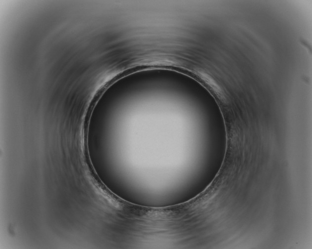 X0000096460840200801311510