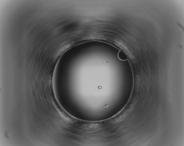 X0000096460841200801311510