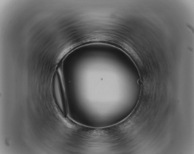 X0000096460842200801311510