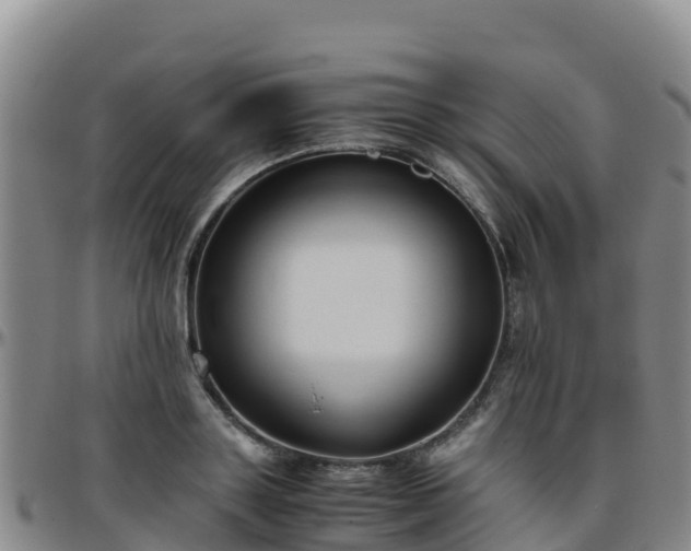 X0000096460843200801311510