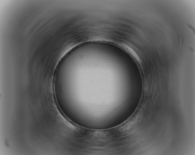 X0000096460847200801311510