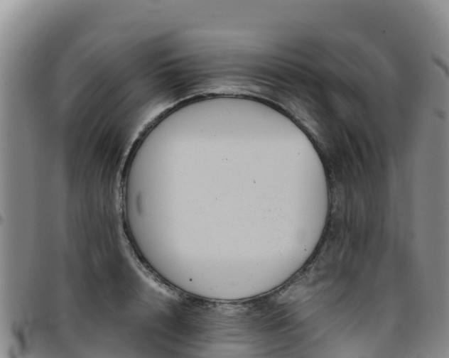 X0000096460848200801311510