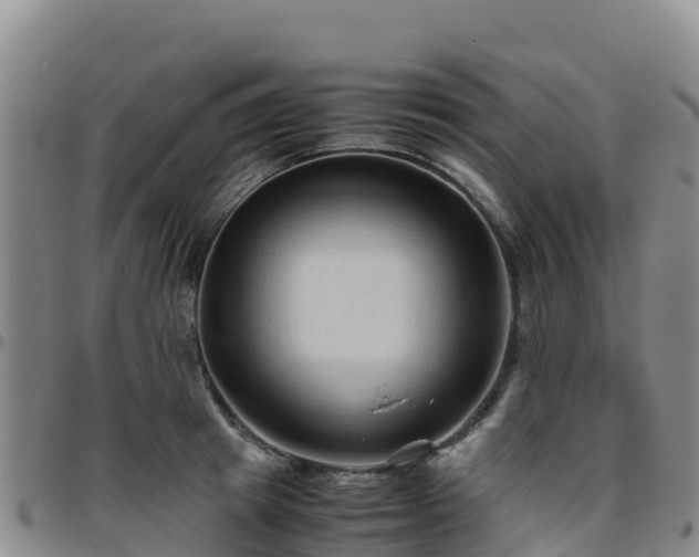 X0000096460849200801311510