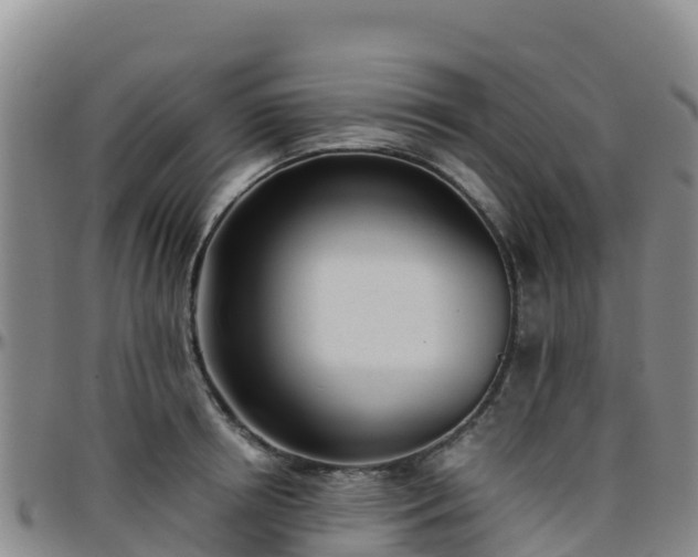 X0000096460850200801311510