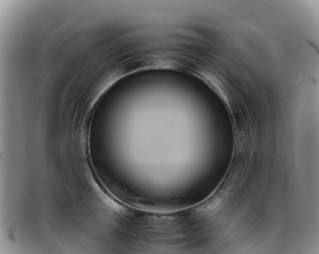 X0000096460851200801311510