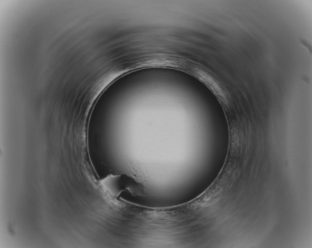 X0000096460852200801311510