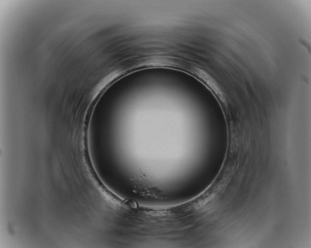 X0000096460853200801311510