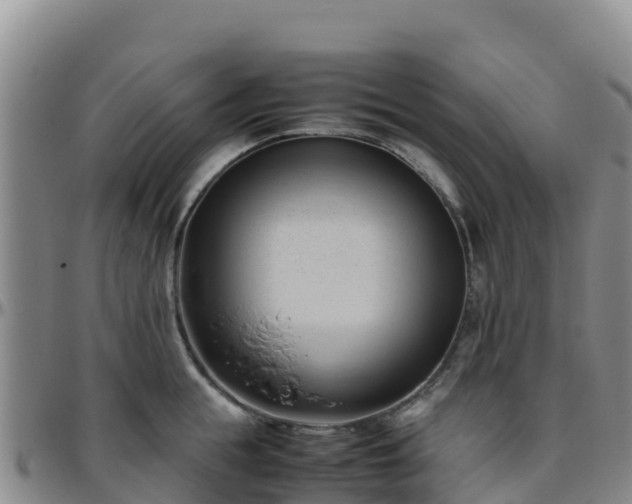 X0000096460855200801311510