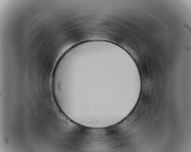 X0000096460856200801311510