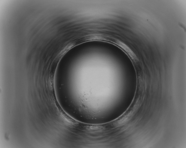 X0000096460857200801311510